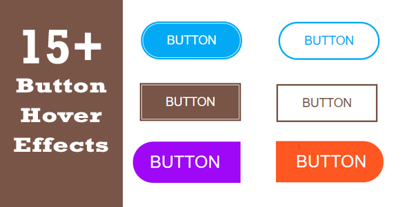 Button Hover Effects