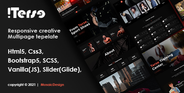 Terse – Ingenious HTML Template