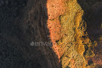 mountains in summer morning and spring plant life