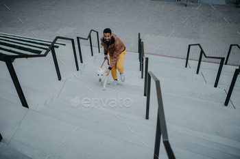 High attitude admire of overjoyed young man running upstairs alongside with his canine outside in metropolis