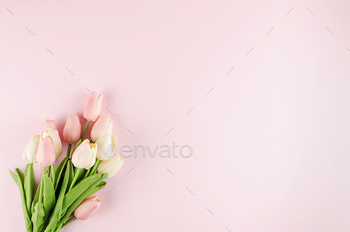 Gift field with bouquet of tulips on pastel crimson background.