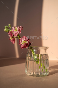 Magnificent abstract background with plant life and vases