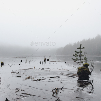 Grey wintry climate lake