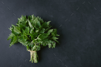 A bouquet of nettles on a sad background with copy assign. Idea of broken esteem.