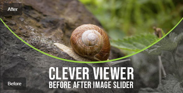 Suave Viewer – Earlier than After Plugin for WordPress