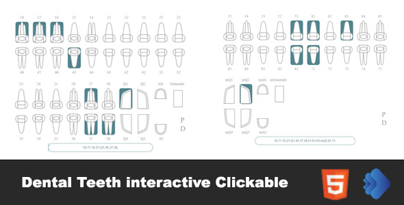 The Assorted Forms of Dental Tooth Interactive Clickable