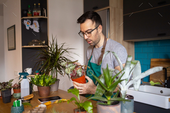 Young Man taking precise care of his vegetation