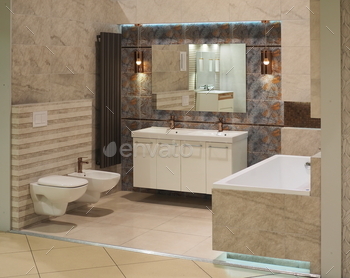 Contemporary lavatory interior scheme look