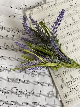 Sheet song with lavender