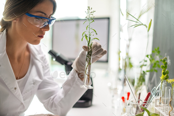 Scientist doing analysis on plants