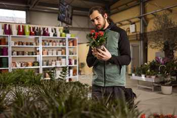 Houseplant shop