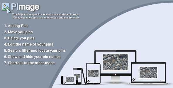 PImage – Pins In Image (edit & survey mode)