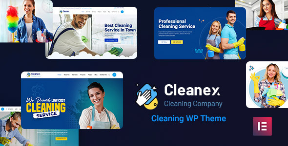 Cleanex – Cleansing Carrier WordPress Theme