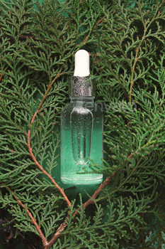 Transparent bottle with beauty serum, hyaluronic acid on inexperienced background with thuja branches. Skin