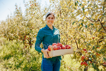 In this legit photo, a trusty female farmer stands amidst rows of apple trees in the orchard,