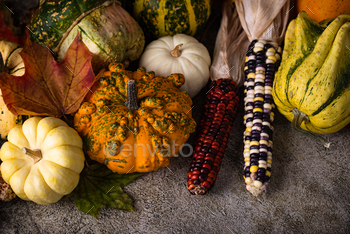 Autumn tranquil existence with pumpkin