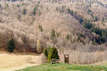 Within the course of nature, a wood chair awaits, completely positioned to supply a charming behold