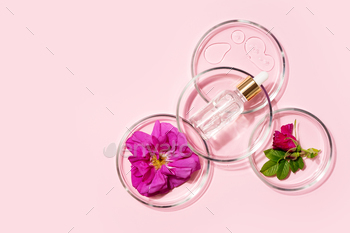 Beauty elegance concept with rose, rosehip flower and green leaf bottle serum