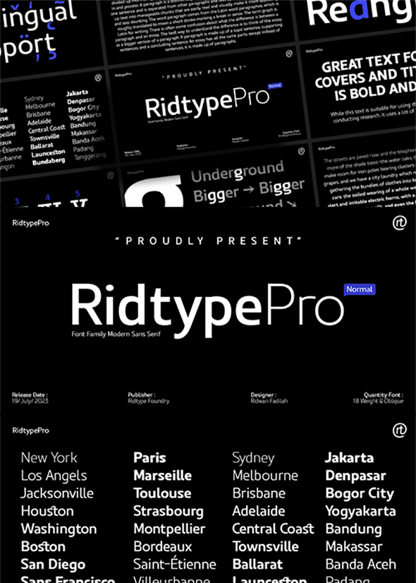 Ridtype Pro – Font Household