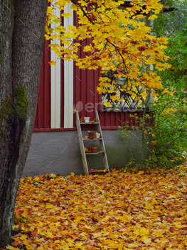 Autumn in European picket calm city.