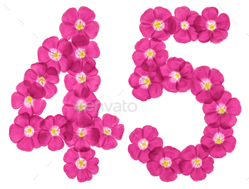 Arabic numeral Forty five, forty 5, from red plant life of flax, isolated on white background