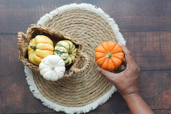 hand conserving mini pumpkins wood background