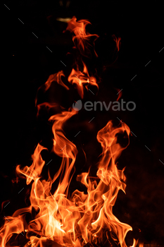 Fire flame isolated on sunless background