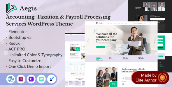 Aegis – Accounting & Payroll Processing Companies and products WordPress Theme