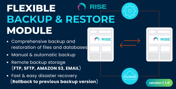 Flexible Backup & Restore Module For RISE CRM