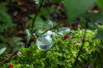 Crystal globe positioned on moss ESG thought for ambiance Society and Governance Sustainable worldwide