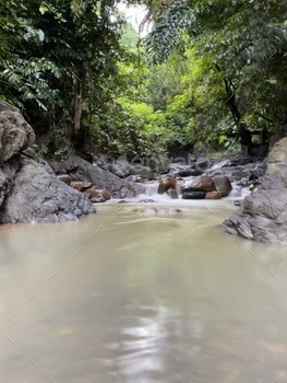 River at a tropical rainforest