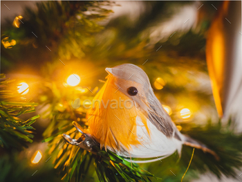 Vivid crimson Christmas ornament inserting from a lush tree of pine branches