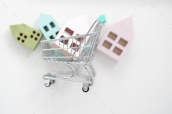 Minute shopping carts with shining mini houses inner