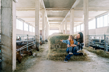 Miniature girl sits on her mother lap on a haystack and elements her finger on the goats consuming hay