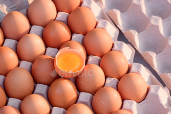 Excessive leer of 1 Cracked Egg with Yolk on excessive of up to date brown Hen Eggs in Carton egg Tray