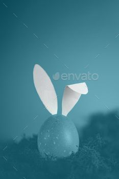 Tinted in blue picture, easter egg with white rabbit ears. creative minimalistic picture