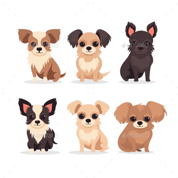 5 Cute Caricature Chihuahuas Displayed