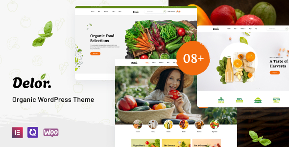 Delor – Pure Meals Retailer Theme