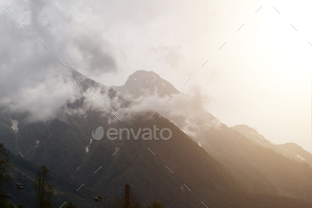 Forested mountain slope in low mendacity cloud with the evergreen conifers shrouded in mist