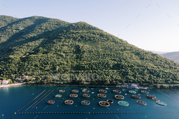 Fish farm fenced with buoys within the sea off the mountain gallop. Drone