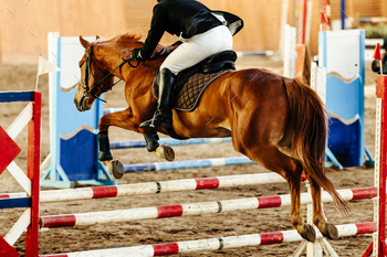 shut-up horse leaping over obstacles in stamp leaping competitors