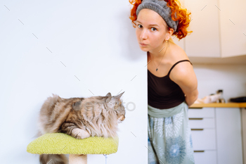 portrait grey fluffy cat sitting on cat tree and teenage girl, cat’s proprietor