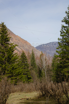 mountains could doubtless nicely doubtless be seen inside the hole in the course of the neat bushes