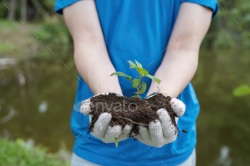 Volunteers Planting Bushes for Environmental Conservation and Neighborhood Greening Efforts