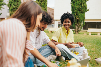 Multiethnic group of college college students sitting on the grass. African woman smiles to the digicam.