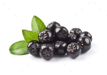 Aronia berries with leaves