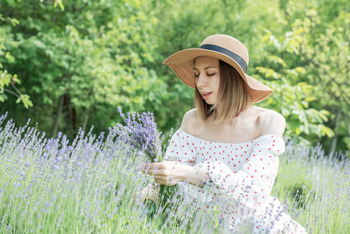 Youthful  woman selecting lavender crops