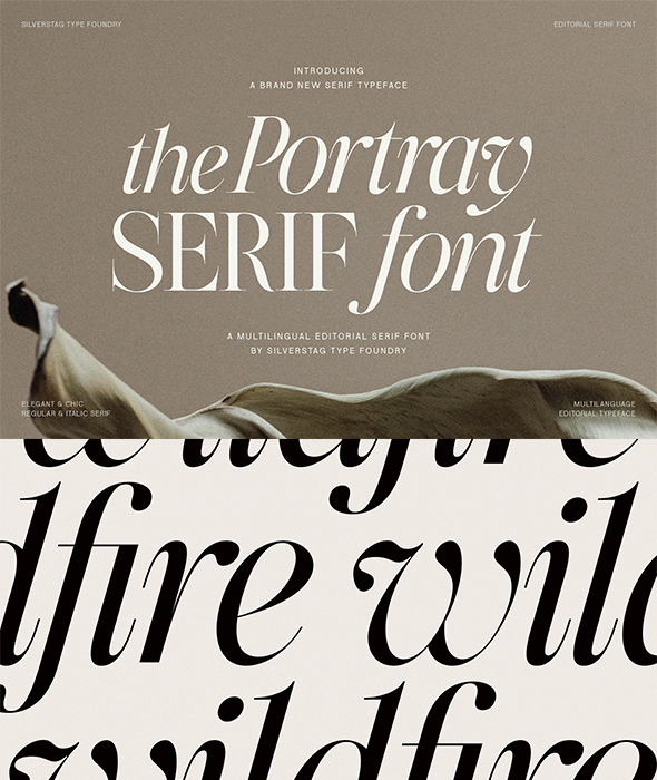 The Ship – Attractive Serif Typeface