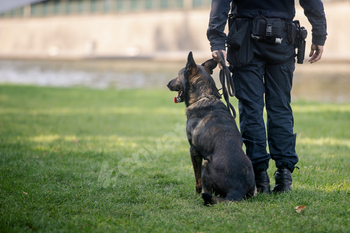 Police patrol with canine