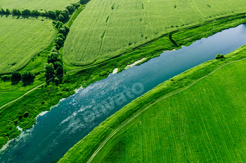 Aerial drone look of blue river and inexperienced corn fields. Ravishing summer season panorama.